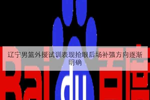 辽宁男篮外援试训表现抢眼后场补强方向逐渐明确